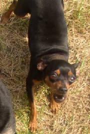 lilbabygirl.jpg
