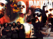 pantera007.jpg