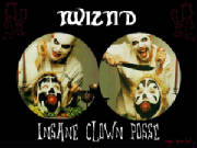 twiz-icp.jpg